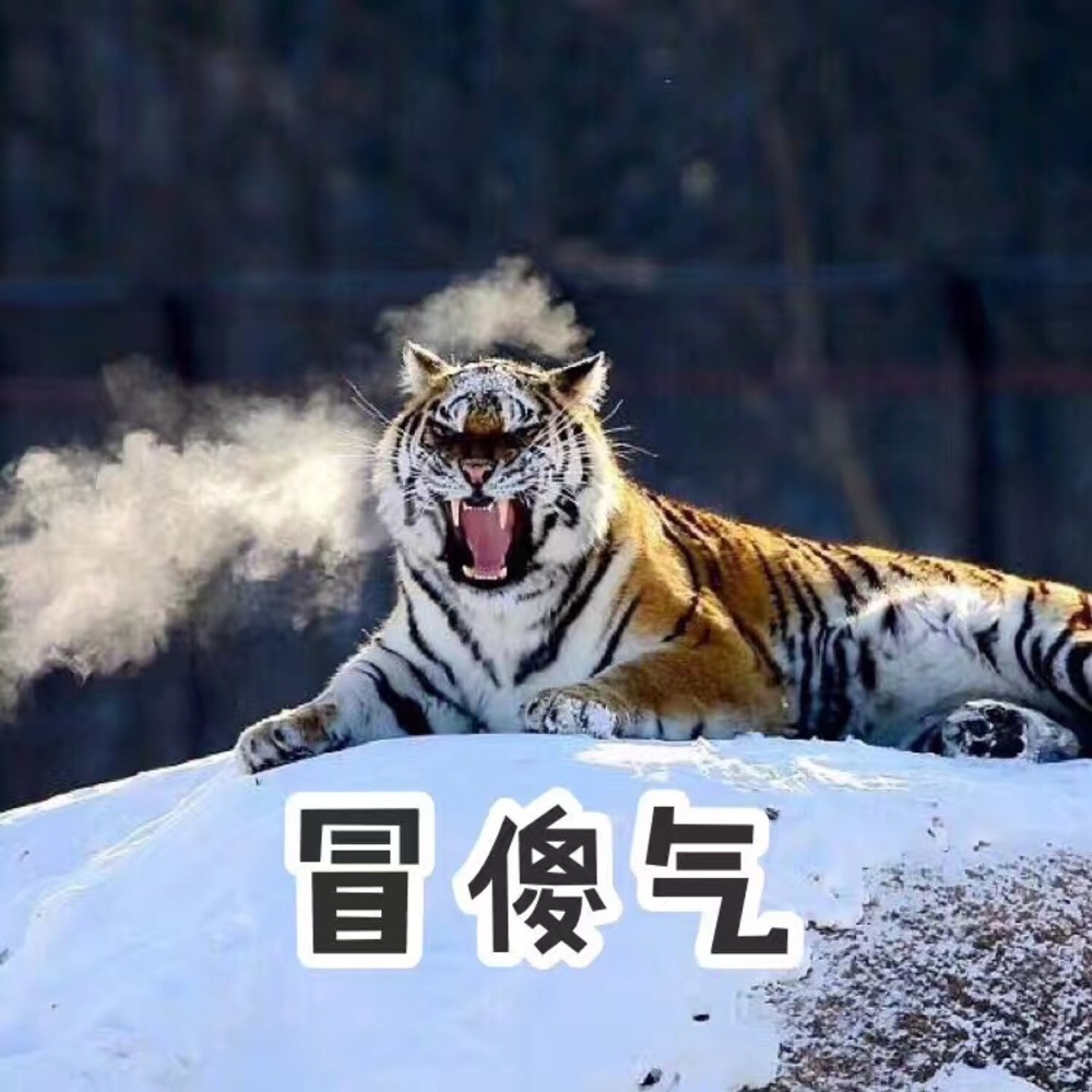 Meet your Posher, Qing